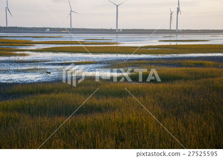 Gaomei Wetland, Taiwan, Taichung, high US wetlands, Gaomei wetland Gaomei Wetland, Taiwan, Taichung, high US wetlands, Gaomei wetland 27525595