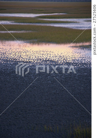 高美溼地,Taiwan, Taichung, high US wetlands,Gaomeiの湿地 高美溼地,Taiwan, Taichung, high US wetlands,Gaomeiの湿地 27525606