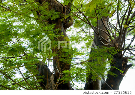 台中文化創意公園，台中創意公園，台中文化創意公園 27525635