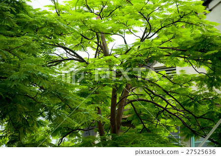 台中文化創意公園,台中創意公園,台中文化創意公園 台中文化創意公園,台中創意公園,台中文化創意公園 27525636