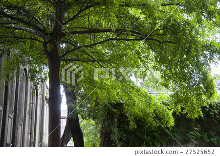 台中文化創意公園,台中創意公園,台中文化創意公園 台中文化創意公園,台中創意公園,台中文化創意公園 27525652