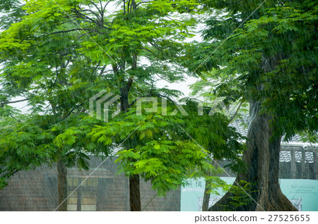 台中文化創意公園，台中創意公園，台中文化創意公園 27525655