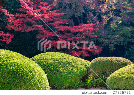 秋天的資生堂 秋天的資生堂 27526751