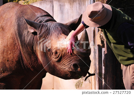 犀牛和飼養員 27527720