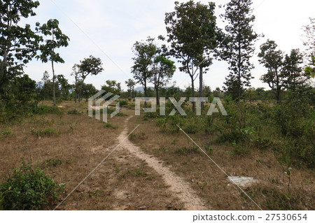 Road of Laos 27530654