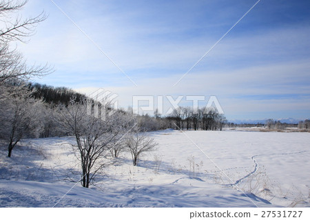 Plain of fog and ice Hokkaido Senbetsu village Saruigawa river 27531727