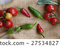 Red Hot Chili Peppers 27534827