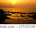 Rice terraces and sunsets in the east-field (Nagato-shi, Yamaguchi) 27535199