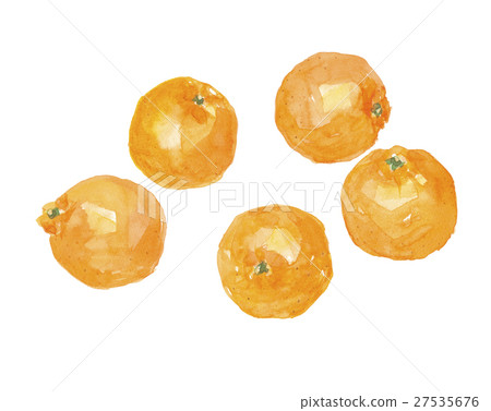 Pomelo 27535676