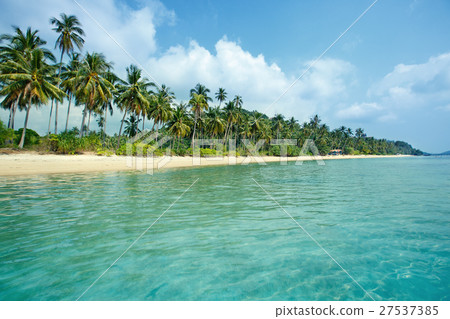 Tropical beach and coconut palms in Koh Samui 27537385