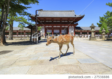 在奈良縣的Todai-ji寺的中間門和鹿 在奈良縣的Todai-ji寺的中間門和鹿 27538886