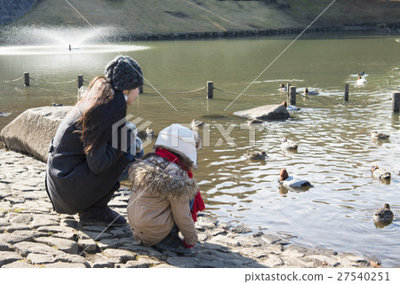 Parents and children watching birds in the pond 27540251