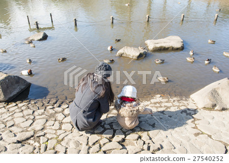 Parents and children watching birds in the pond 27540252