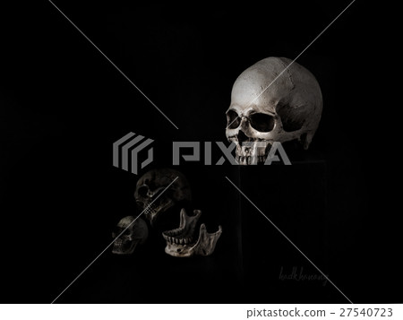 Skull with black background Skull with black background 27540723