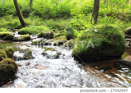 river in the czech forest 27542047