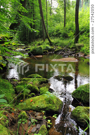 river in the czech forest river in the czech forest 27542050