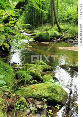 river in the czech forest river in the czech forest 27542051
