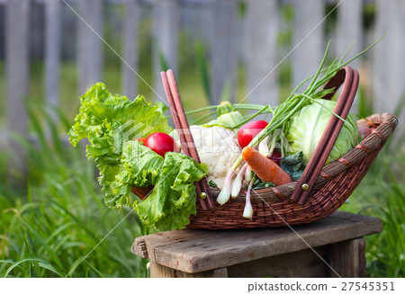 Fresh organic vegetables in the basket Fresh organic vegetables in the basket 27545351