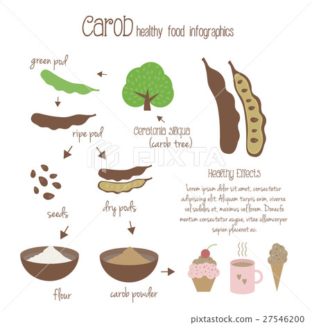Carob infographics. Vector illustration 27546200