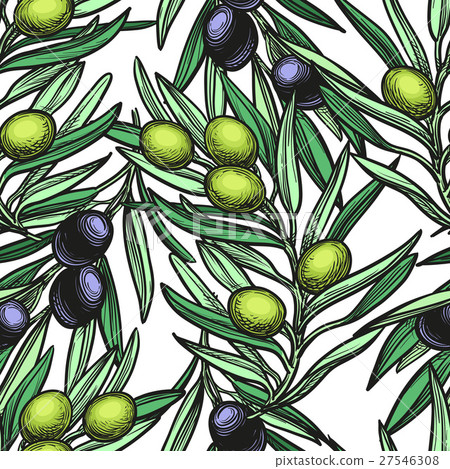 Seamless pattern with olive branch - Stock Illustration [27546308] - PIXTA