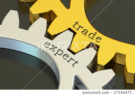 Trade Expert concept on the gearwheels Trade Expert concept on the gearwheels 27546475