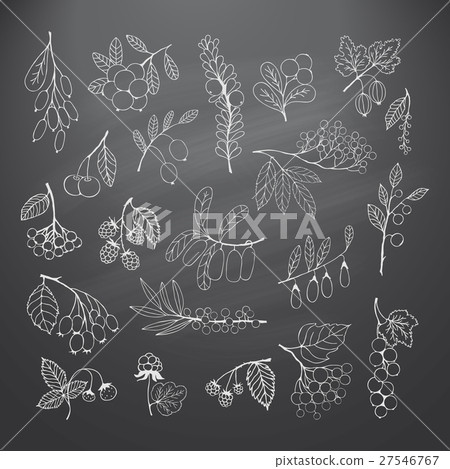 Set of garden and wild hand-drawn chalk berries 27546767