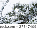 Snow Kyoto 27547409