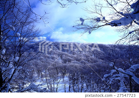 Towadako winter winter view 27547723