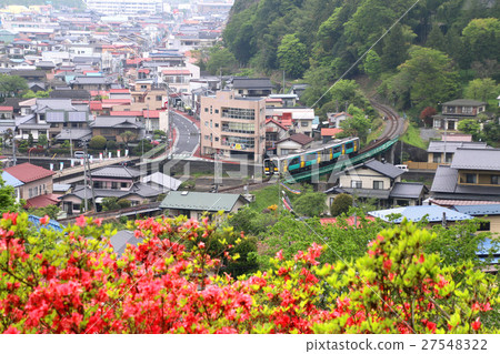 Hanuroyama Park(花町)中的杜鵑花 Hanuroyama Park(花町)中的杜鵑花 27548322