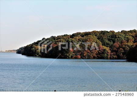 Lake and autumn leaves 27548960