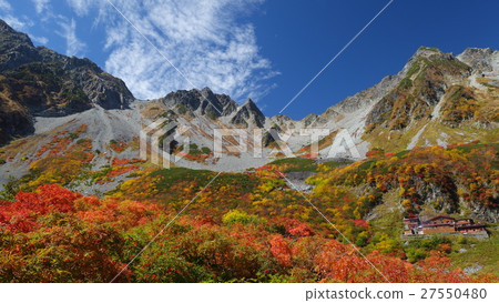 Fukuzawa curl's autumn leaves 2015 Fukuzawa curl's autumn leaves 2015 27550480