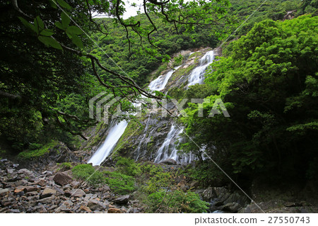 Yakushima Kagoshima Prefecture 27550743