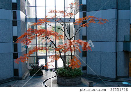 Box autumn leaves 27551738