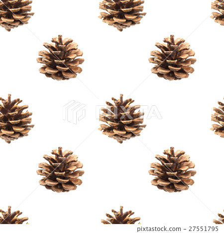 Pine cones seamless pattern isolated on white 27551795