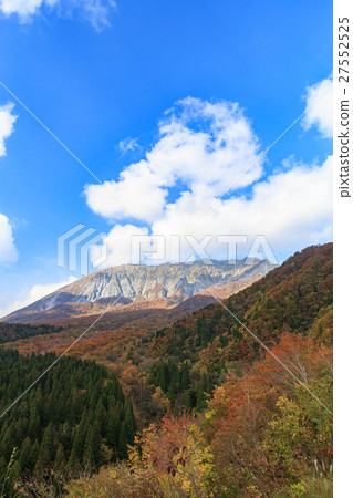 Autumn Leaves of Oyama - Forest of Beech and South Walls from Keyring Pass - 27552525