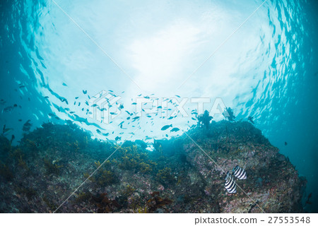 The sea of Hayama Shibasaki 27553548