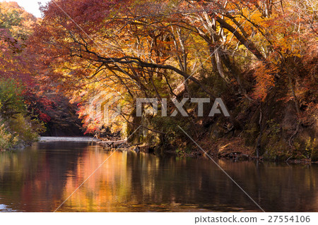 福島縣阿布庫馬河上游賽戈上游（11月） 27554106
