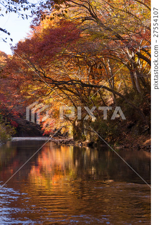 福島縣阿布庫馬河上游賽戈上游（11月） 27554107