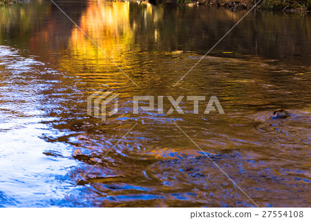 福島縣阿布庫馬河上游賽戈上游（11月） 27554108