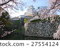 Himeji Castle and Sakura 27554124