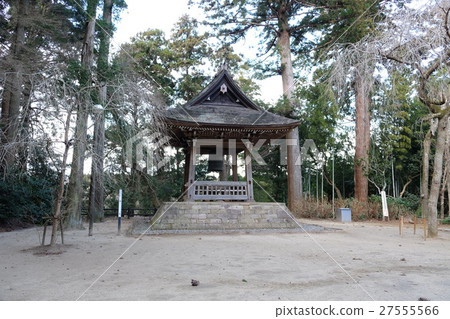 Iitakaji（Iitaka Danburyi） 27555566