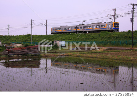 水稻種植後立即經過稻田的兒童全國Y000系列 水稻種植後立即經過稻田的兒童全國Y000系列 27556054
