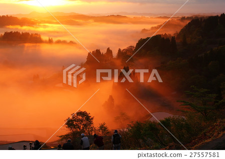 Rice terrace on the ridge 27557581