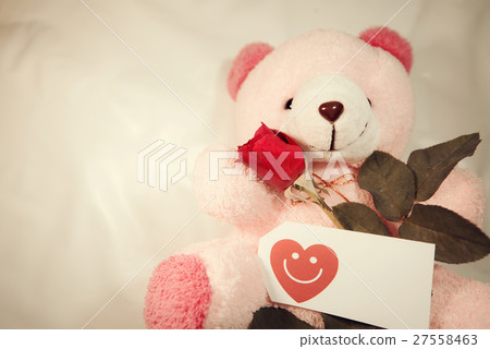 Rose flower And doll valentine Rose flower And doll valentine 27558463