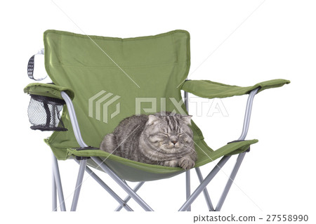 Cat sleeping on tourist armchair Cat sleeping on tourist armchair 27558990