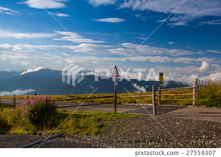 A cattle grid preventing cows A cattle grid preventing cows 27559307