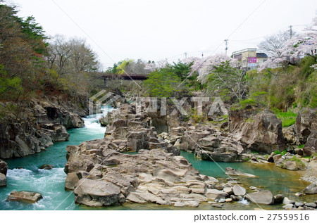 春天的嚴美溪（岩手縣一關市） 27559516