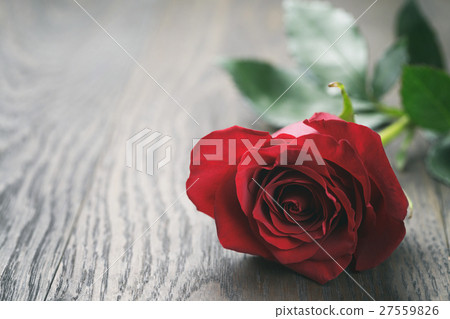 single dark red rose on wood background single dark red rose on wood background 27559826
