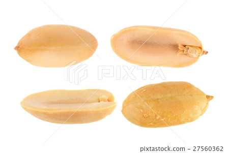 peanuts isolated on white background 27560362