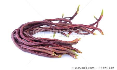red long bean on white background 27560536